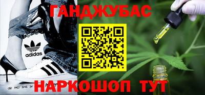 шишки Тара