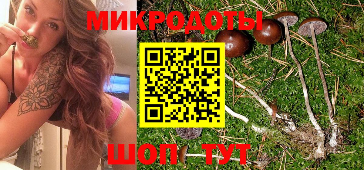 Галлюциногенные грибы мицелий Норильск